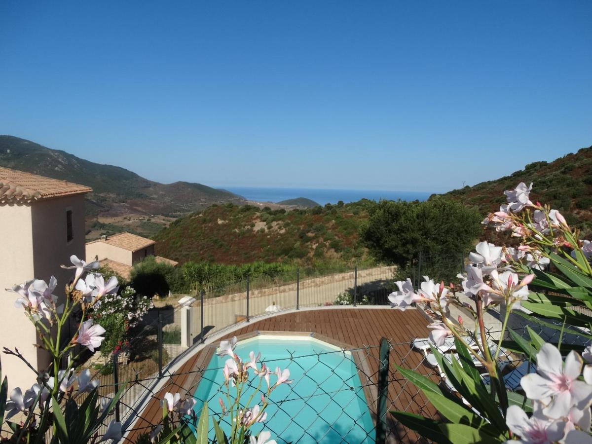 Gites Sassone, Vue Panoramique Sur Ajaccio Et La Mer アラタ エクステリア 写真