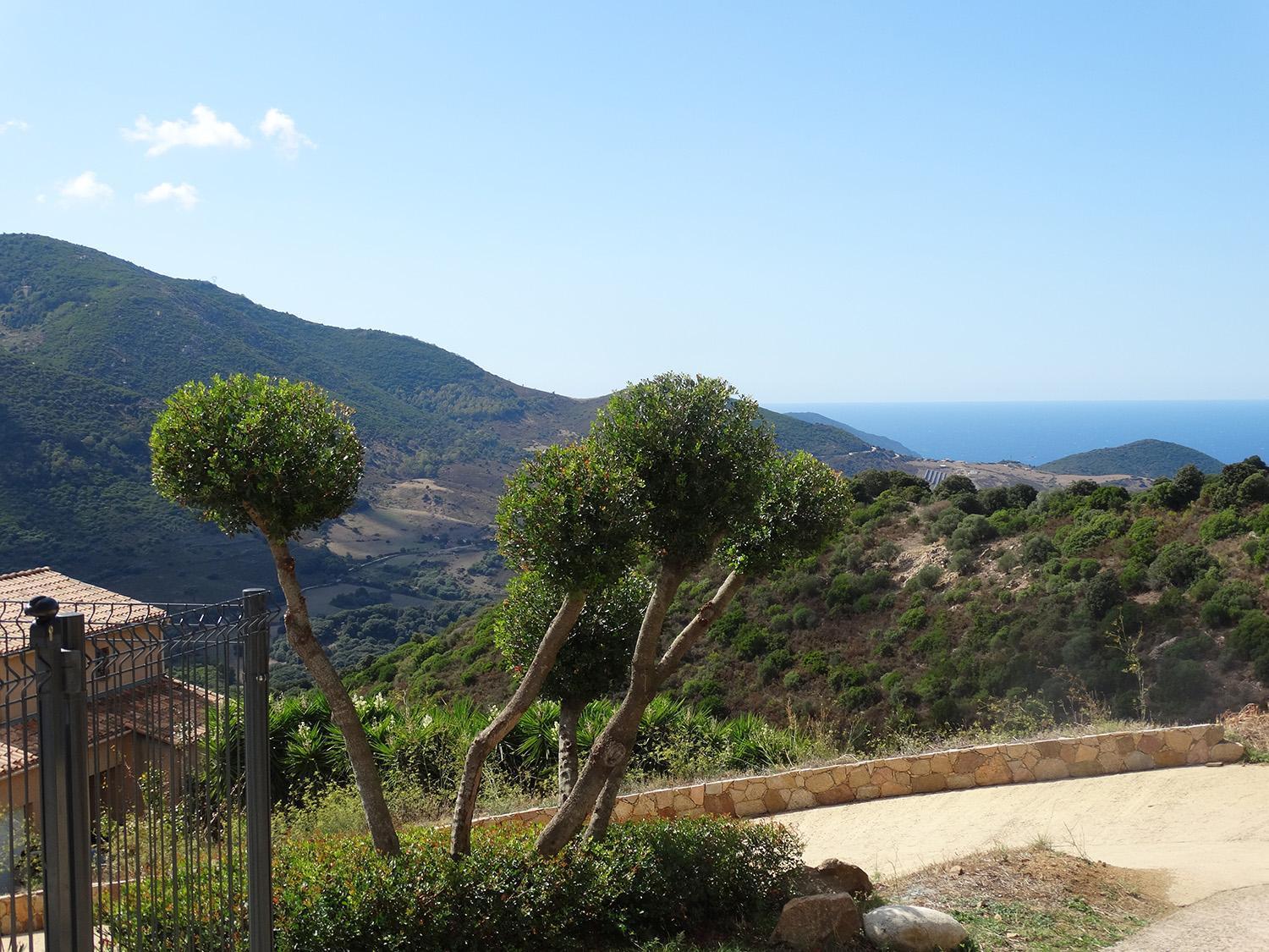 Gites Sassone, Vue Panoramique Sur Ajaccio Et La Mer アラタ エクステリア 写真
